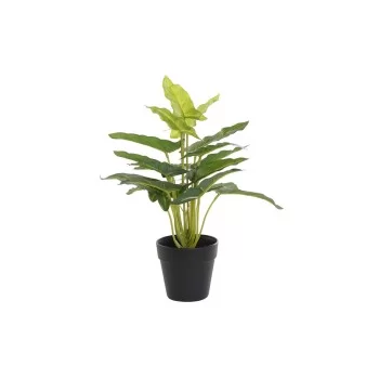 Decorative Plant DKD Home Decor PVC polypropylene 25 x 25...