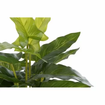 Decorative Plant DKD Home Decor PVC polypropylene 25 x 25... 2