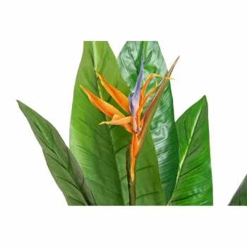 Decorative Plant DKD Home Decor PVC Plastic 100 x 100 x... 2