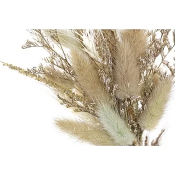 Decorative Flower DKD Home Decor 16 x 6 x 21 cm Beige... 2