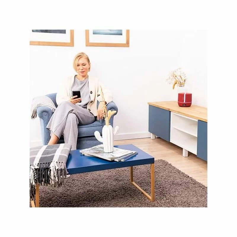 Humidifier PureAroma 550 Connected Garnet...