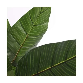 Decorative Plant Mica Decorations (60 x 110 cm) 2