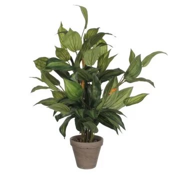 Decorative Plant Mica Decorations Hosta Green PVC (15,5 x...