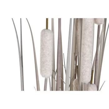 Decorative Plant DKD Home Decor Rushes (45 x 45 x 150 cm) 2