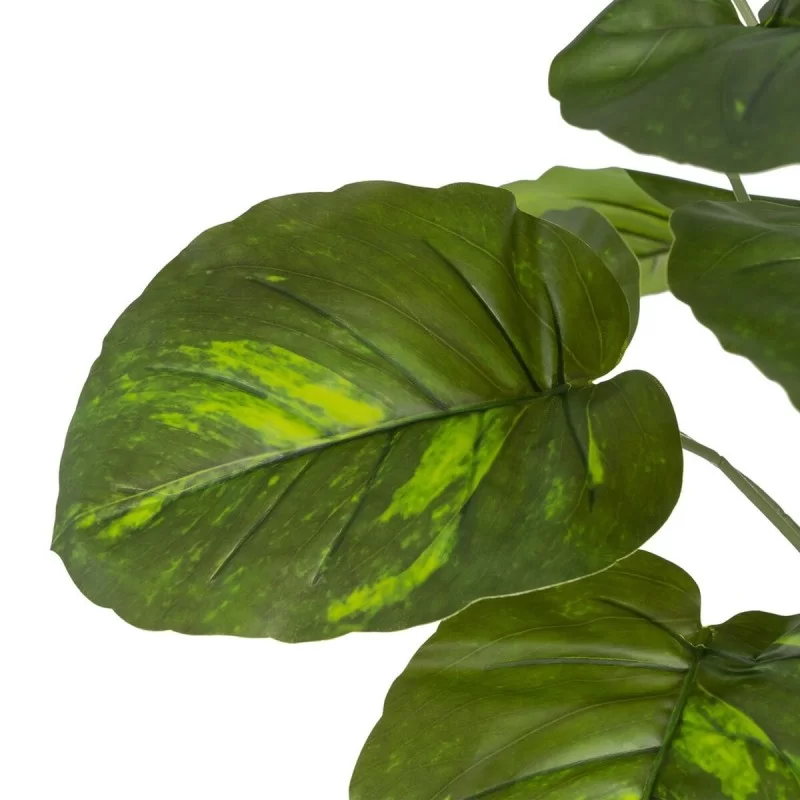 Branch Green PVC 70 x 70 x 75 cm