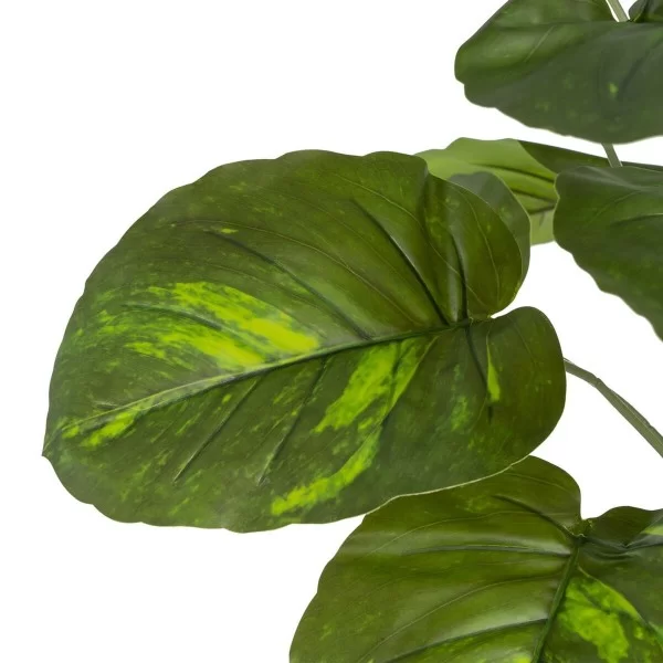 Branch Green PVC 70 x 70 x 75 cm