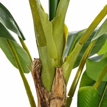 Decorative Plant 103 x 95 x 200 cm Green PVC Banana plant 2