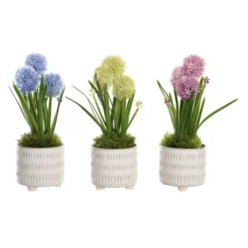 Decorative Plant DKD Home Decor Foam Blue Pink Yellow...