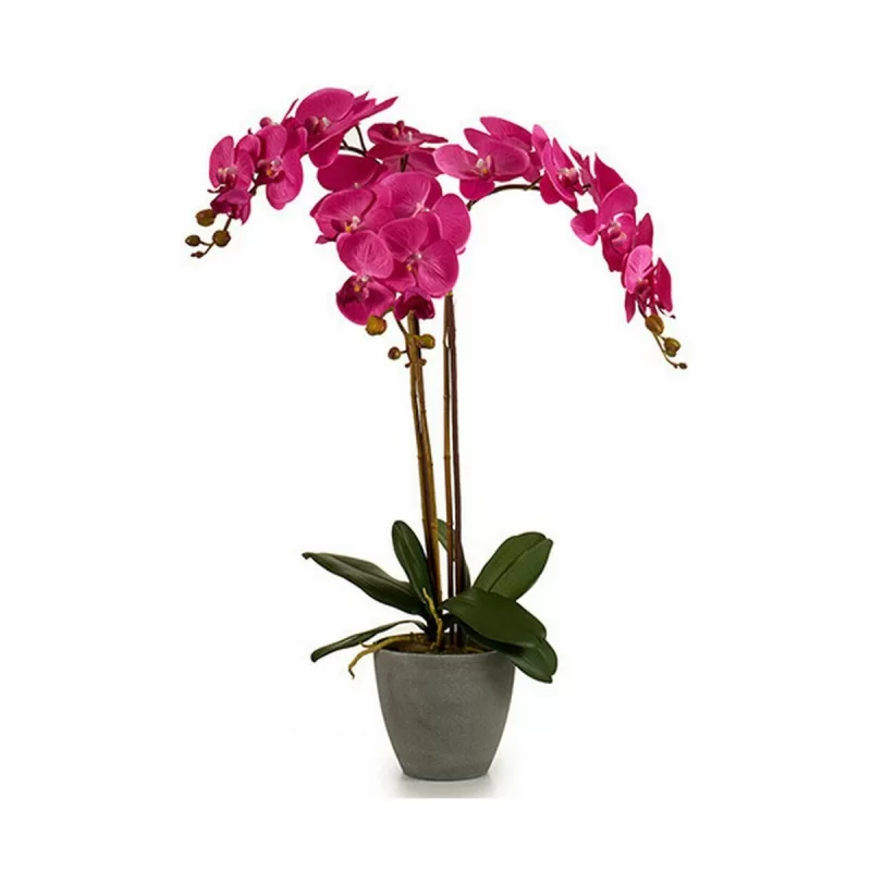 Decorative Plant Orchid Plastic 60 x 78 x 44 cm...