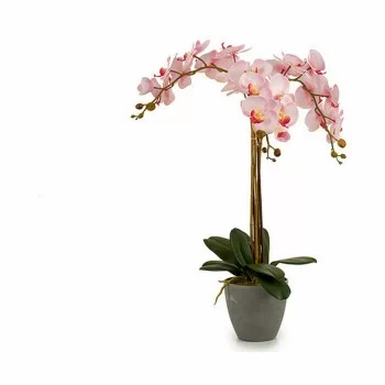 Decorative Plant Orchid Plastic 29 x 78 x 35 cm (2 Units) 2