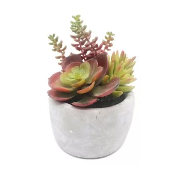 Decorative Plant Versa Ceramic Plastic 12,7 x 15,24 x...