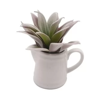 Decorative Plant Versa Ceramic Plastic 11,43 x 11,94 x...