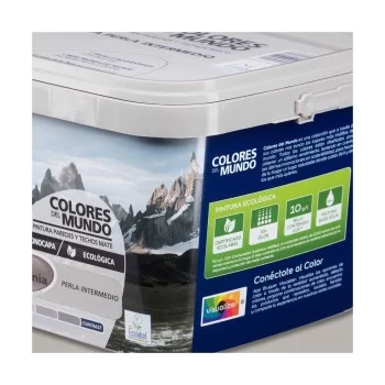Paint Bruguer Patagonia 4 L 2