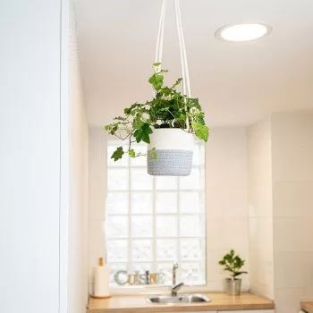 Decorative basket Vinthera Moa Cotton Grey 14 x 13 cm 2