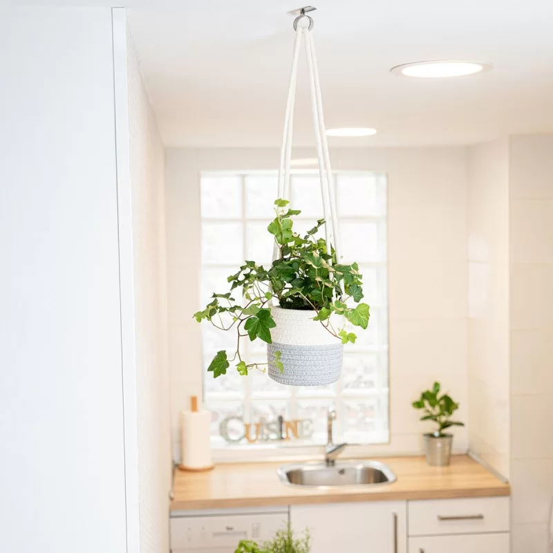 Decorative basket Vinthera Moa Cotton Grey 14 x...