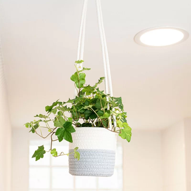 Decorative basket Vinthera Moa Cotton Grey 14 x...