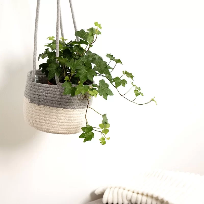 Decorative basket Vinthera Moa Cotton Grey 18 x...