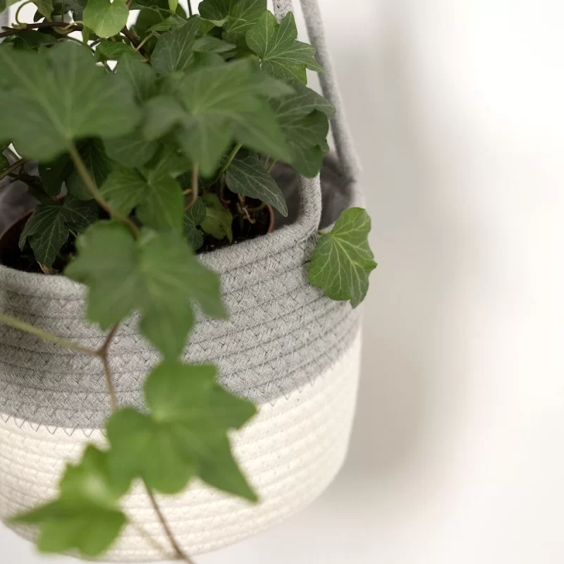 Decorative basket Vinthera Moa Cotton Grey 18 x...