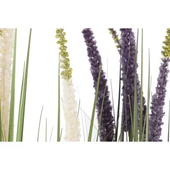 Decorative Plant Home ESPRIT PVC Polyethylene 35 x 35 x... 2
