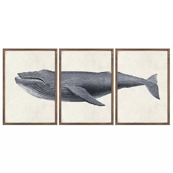 Set of 3 pictures DKD Home Decor 150 x 2 x 70 cm Whale