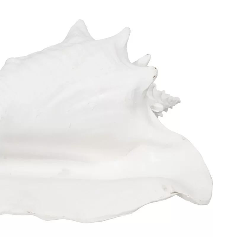 Decorative Figure White Snail 21 x 19 x 13 cm