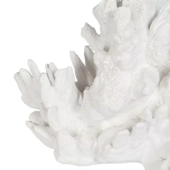 Decorative Figure White Coral 29 x 20 x 21 cm 2