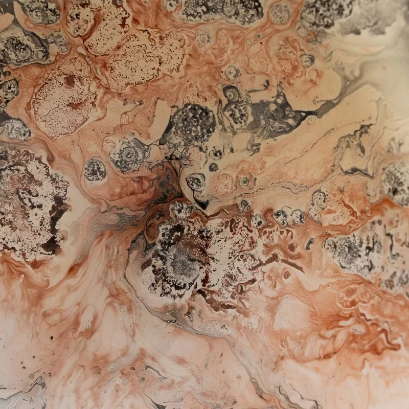 Centerpiece Salmon Crystal 28 x 28 x 12 cm