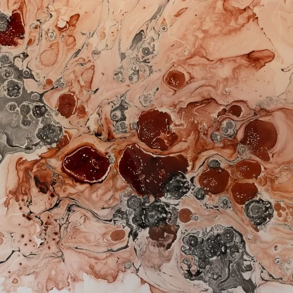 Centerpiece Salmon Crystal 29 x 29 x 5 cm