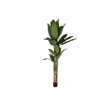 Decorative Plant Home ESPRIT Polyethylene Cement Banana...