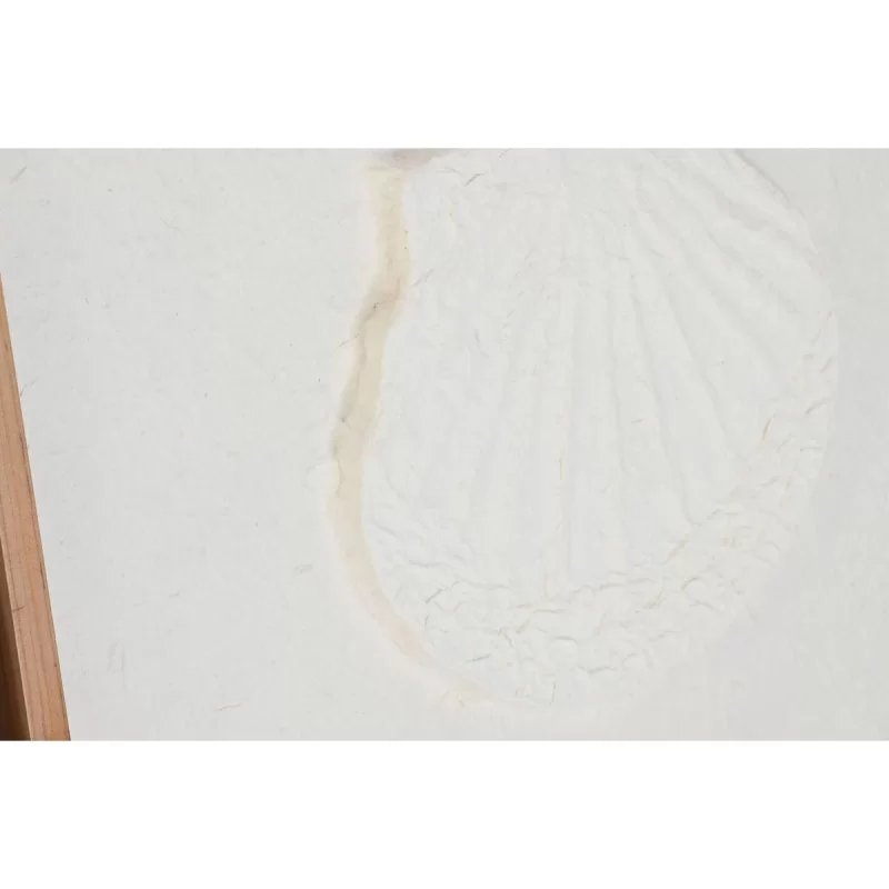 Painting DKD Home Decor Shells 50 x 2 x 50 cm...