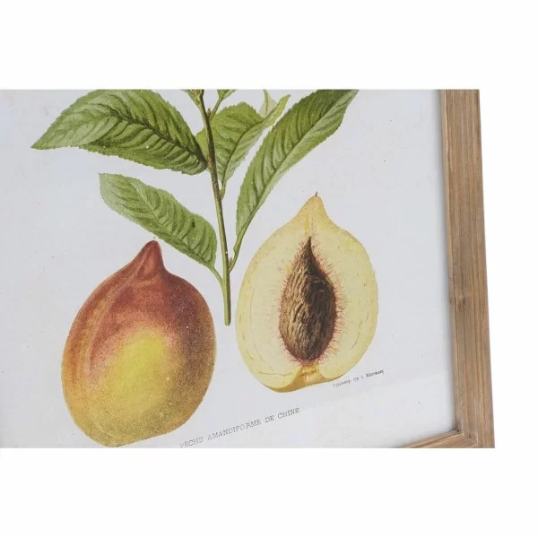 Painting DKD Home Decor Modern Fruit 45 x 2 x 60 cm (6 Pieces)
