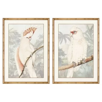 Painting DKD Home Decor Parrot Tropical 50 x 3 x 70 cm (2...
