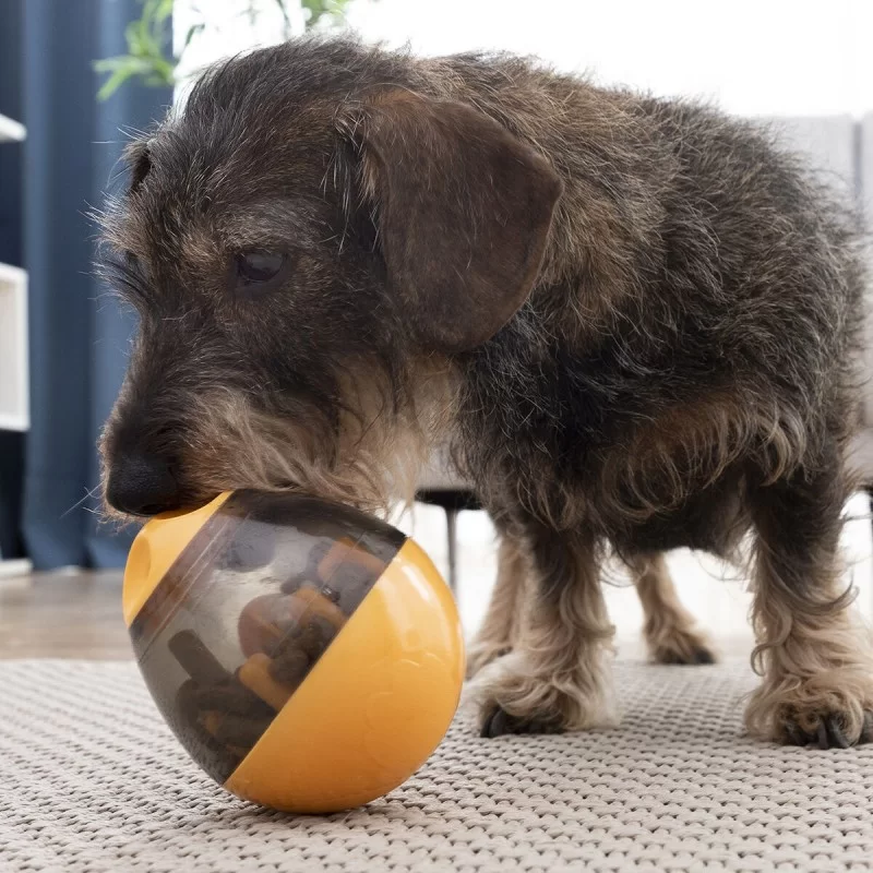 2-In-1 Treat Dispenser Toy for Pets Petyt...