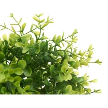 Decorative Plant Plastic Small (6 Units) 2