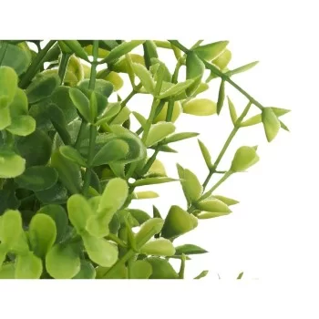 Decorative Plant Plastic Large (6 Units) 2