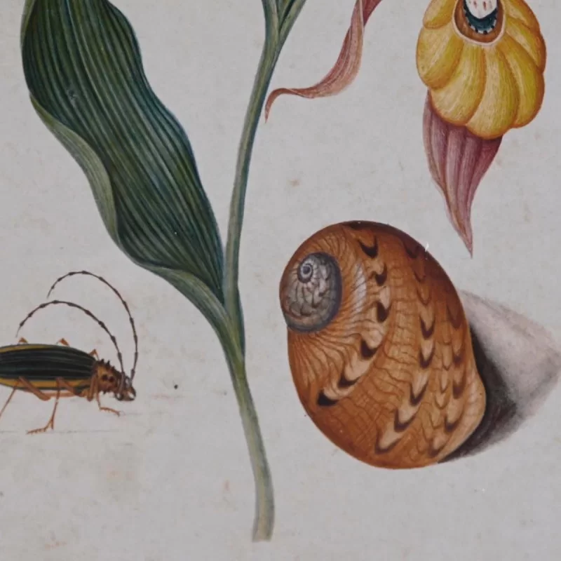 Painting DKD Home Decor Fir Crystal 50 x 65 x...