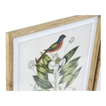 Painting DKD Home Decor Bird 55 x 2,5 x 70 cm Tropical... 2