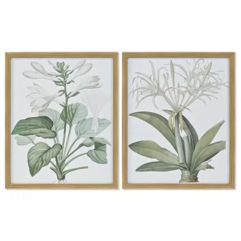 Painting DKD Home Decor 43 x 3 x 53 cm Botanical plants...