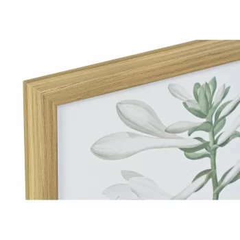 Painting DKD Home Decor 43 x 3 x 53 cm Botanical plants... 2