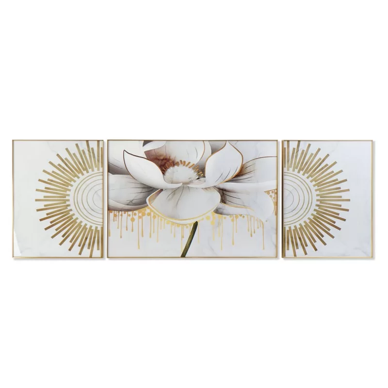 Painting DKD Home Decor Flower (240 x 3 x 80 cm)
