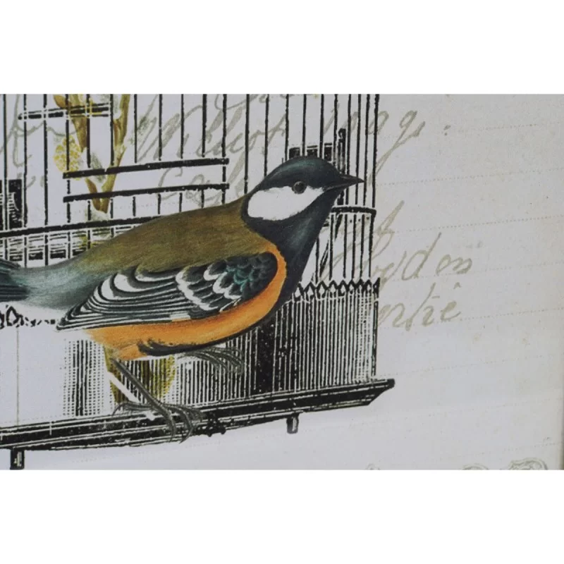 Painting DKD Home Decor 34 x 2 x 44 cm Cage...
