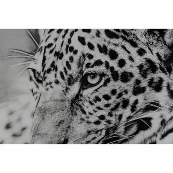 Painting DKD Home Decor 100 x 2,5 x 100 cm Leopard... 2