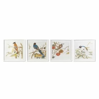 Painting DKD Home Decor 60 x 2,5 x 60 cm Bird Shabby Chic...