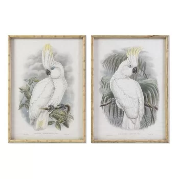 Painting DKD Home Decor 50 x 2,8 x 70 cm Colonial Parrot...