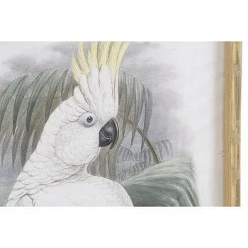 Painting DKD Home Decor 50 x 2,8 x 70 cm Colonial Parrot... 2