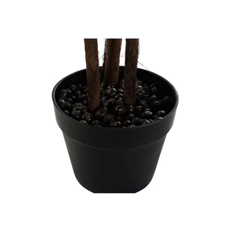 Decorative Plant DKD Home Decor Brown Black...