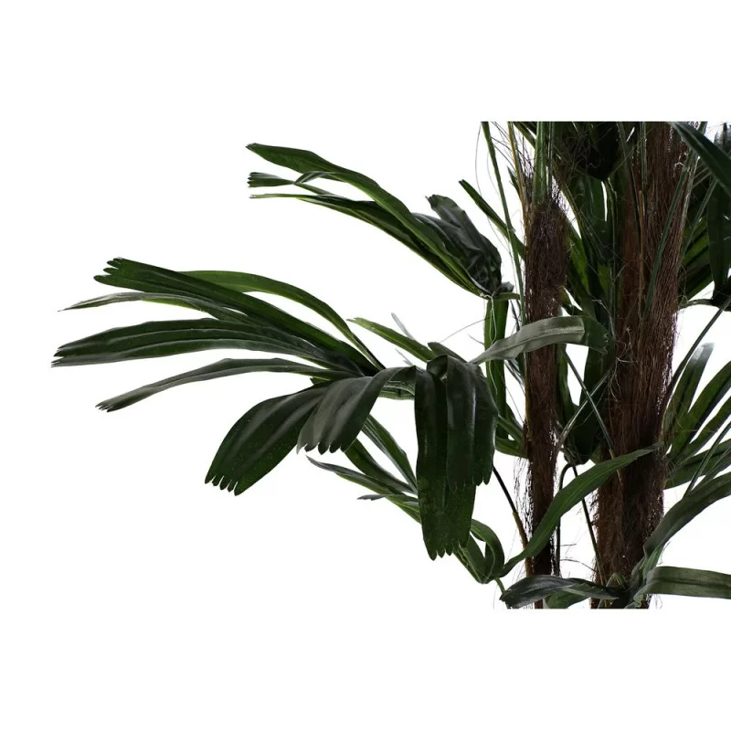 Decorative Plant DKD Home Decor Brown Black...