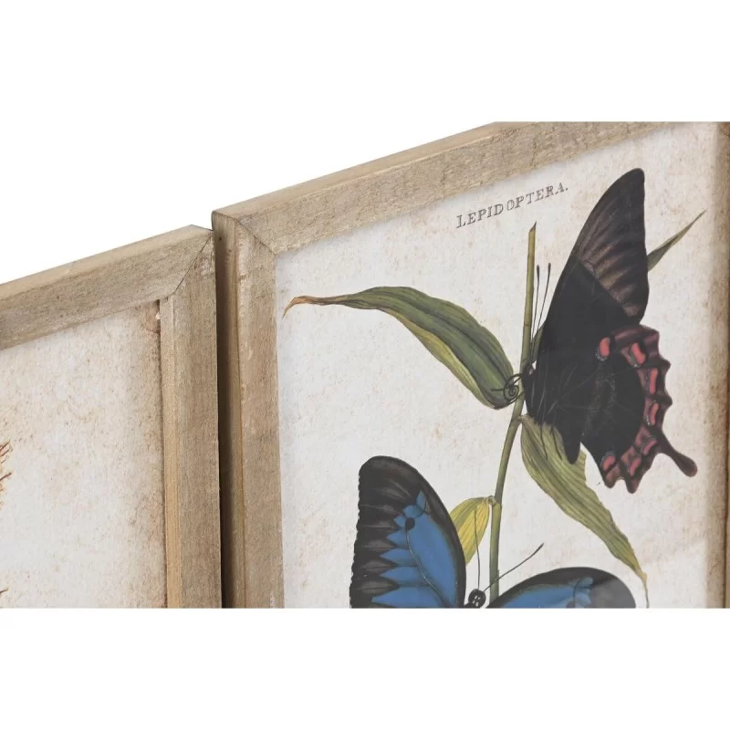 Painting DKD Home Decor Butterflies 40 x 2 x 50...
