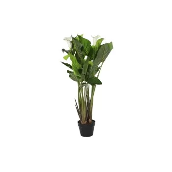 Decorative Plant DKD Home Decor White Green PE Lilies (50...