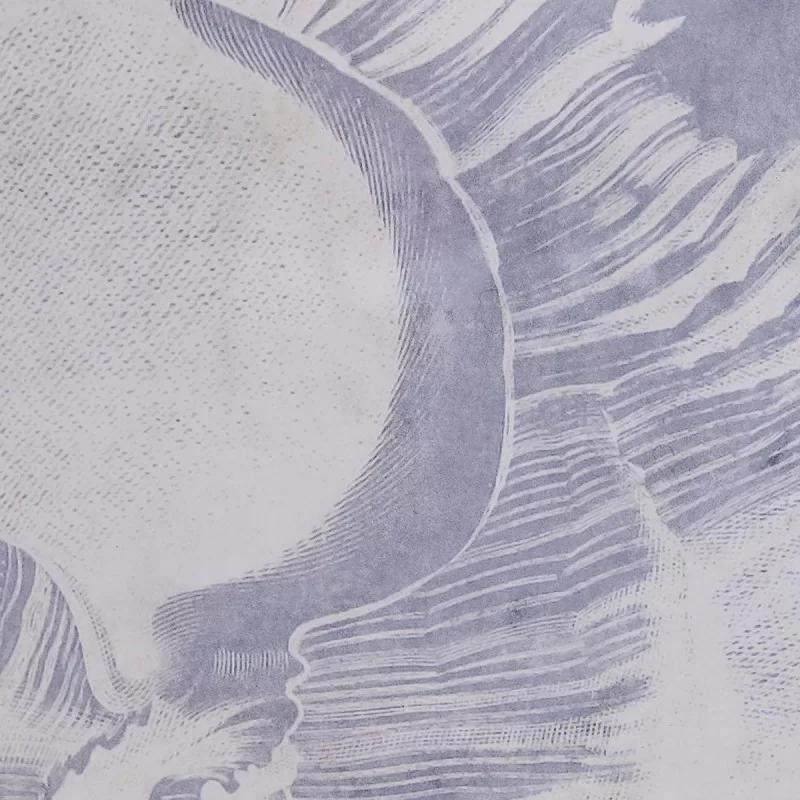 Painting DKD Home Decor Crystal Snail 50 x 2 x...